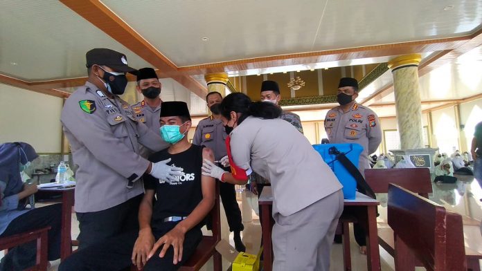 cek vaksin